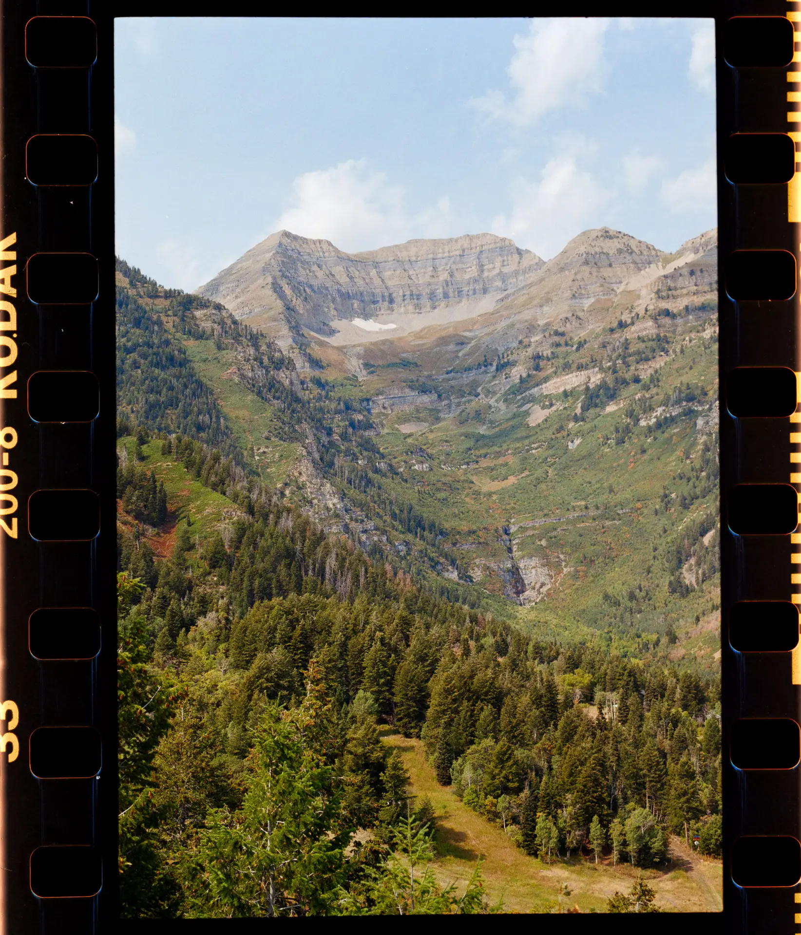 Color Negative Scans