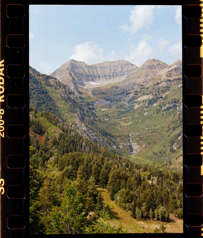 sample of inverted c41 negative scan